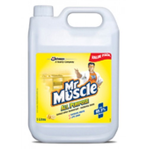 Mr Muscle All Purpose Cleaner 5L