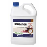 Sensation 5L Carpet Spotter