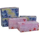 Blossom Facial Tissue 2 ply 180 sheet - BOX