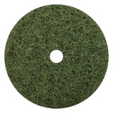 Floor Pad Green 500mm (1 Pad)