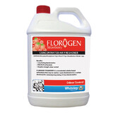 Florogen Air Freshener Strawberry 5L