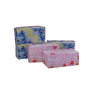 Blossom Facial Tissue 2 ply 180 sheet - BOX