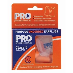 Disposable Earplugs (Pack 10)