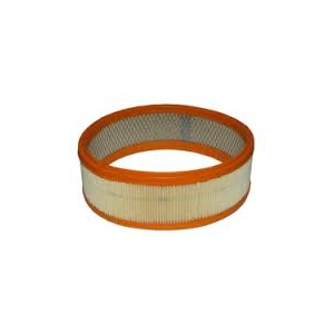 Filter to suit Cleanstar Butler Vacuum